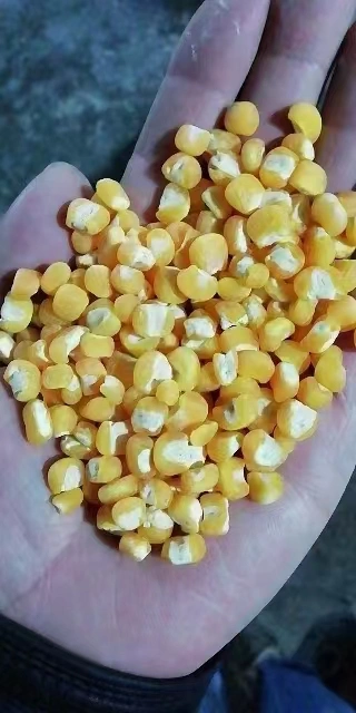 Corn Maize Wheat Sorghum Lentils Quinoa Peeling Machine