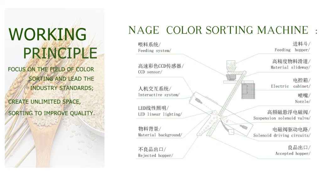 Professional LED Rice Color Sorter Colour Sorting Rice Mill Machine