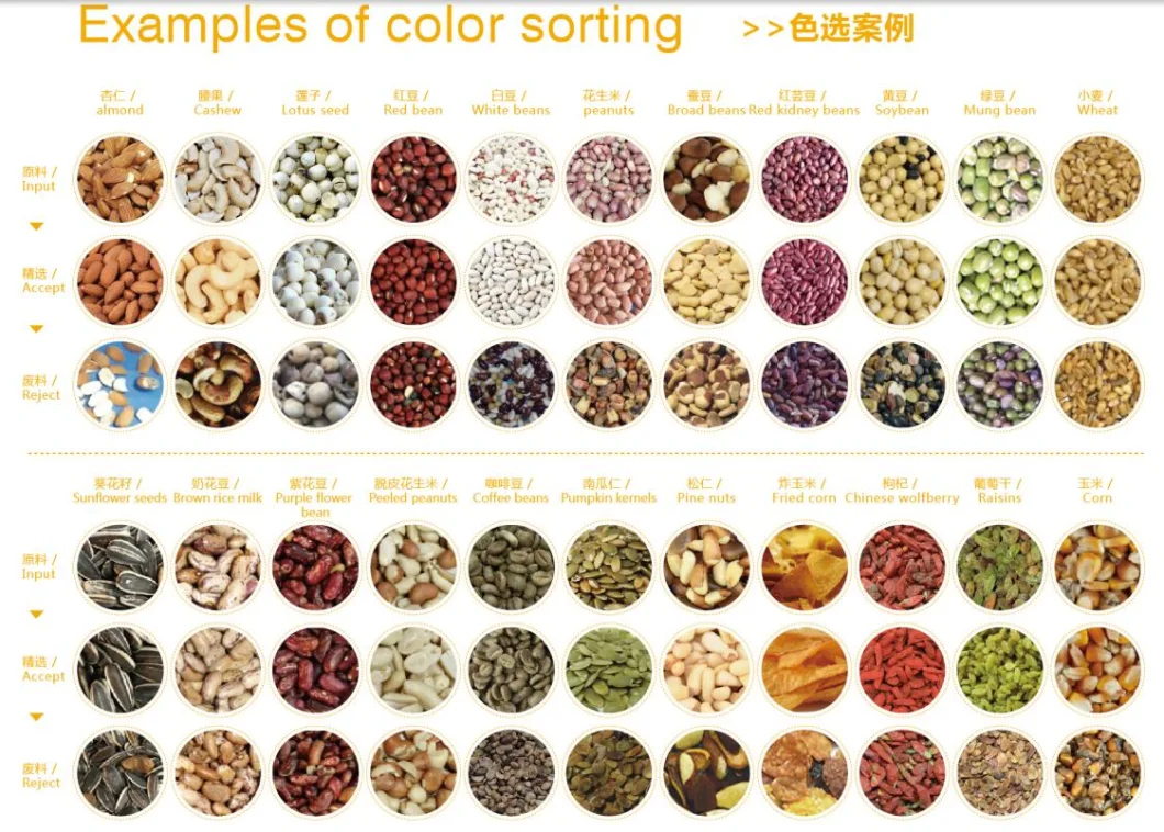 Popular Sunflower Seeds Color Sorter
